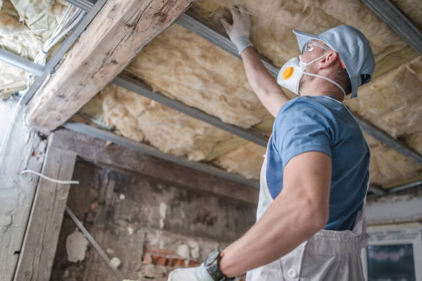 Best Insulation for New Construction  in East Troy, WI