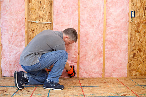 Best Attic Insulation Installation  in East Troy, WI